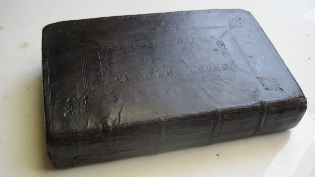 Leather Binding Restoration Book Conservation Amanda Buck Book